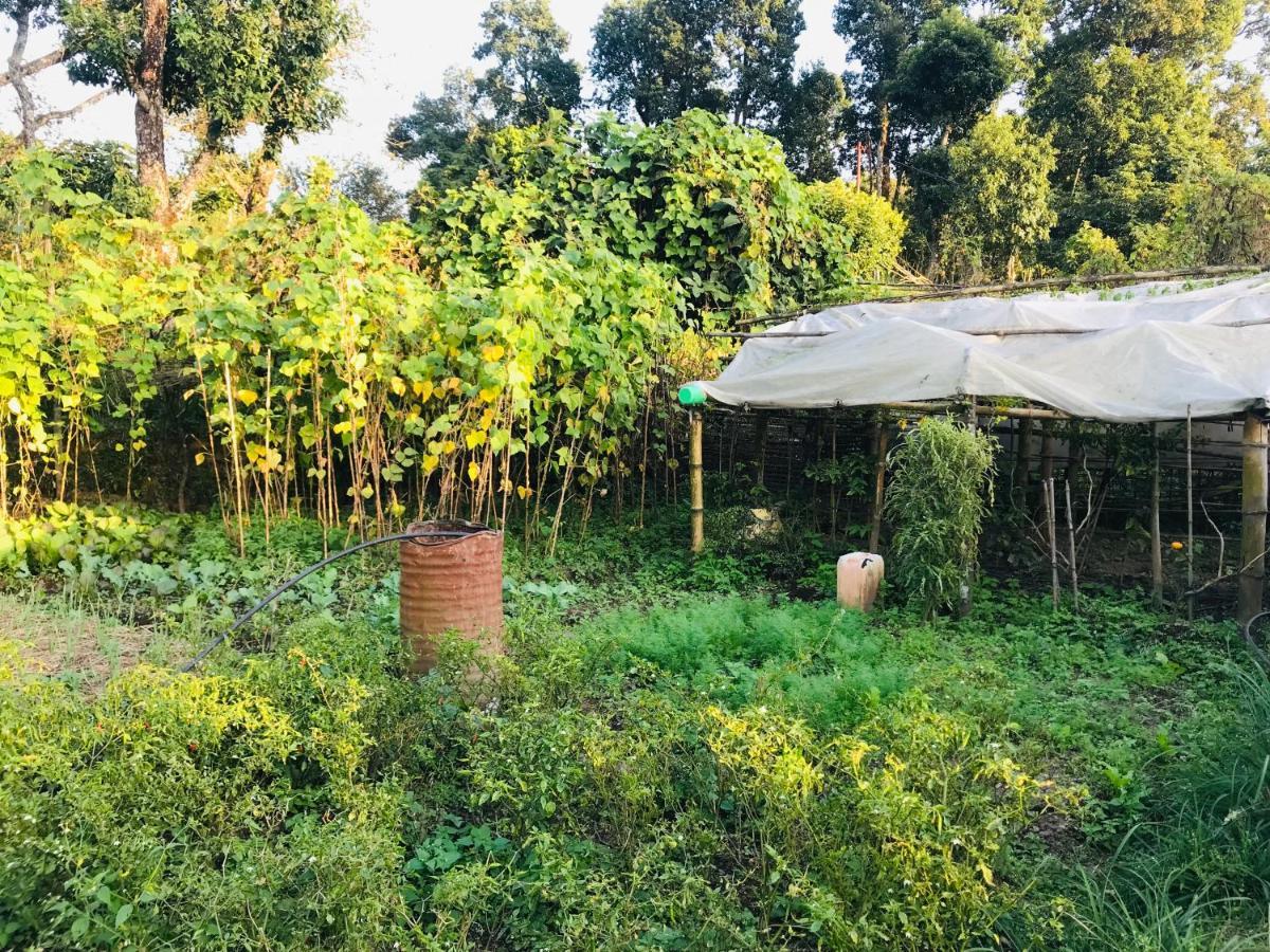 Hom'S Homestay & Farmstay Sarangkot Pokhara Bagian luar foto