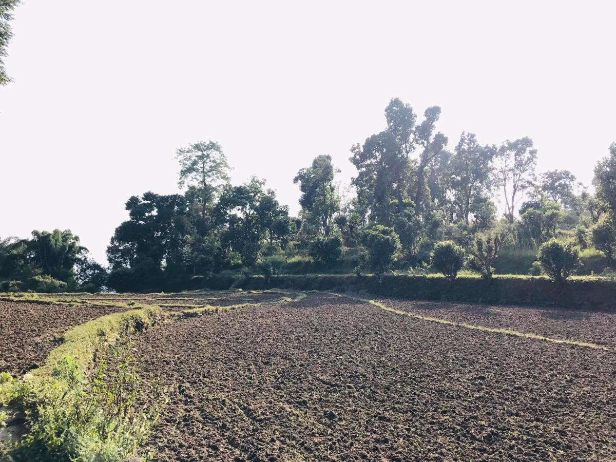 Hom'S Homestay & Farmstay Sarangkot Pokhara Bagian luar foto